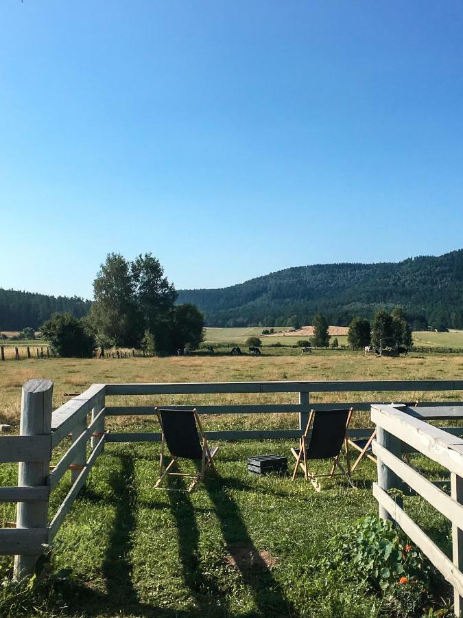 Siedem Lanow Villa Radkow Dış mekan fotoğraf